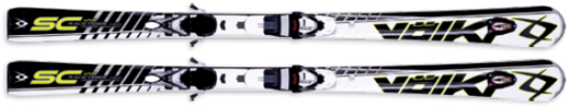 Racetiger SC uvo 13-14.png